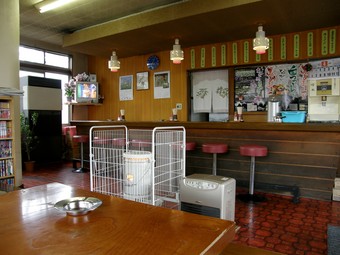 ¥é¡¼¥á¥ó°ìÈÖ¡¡£±