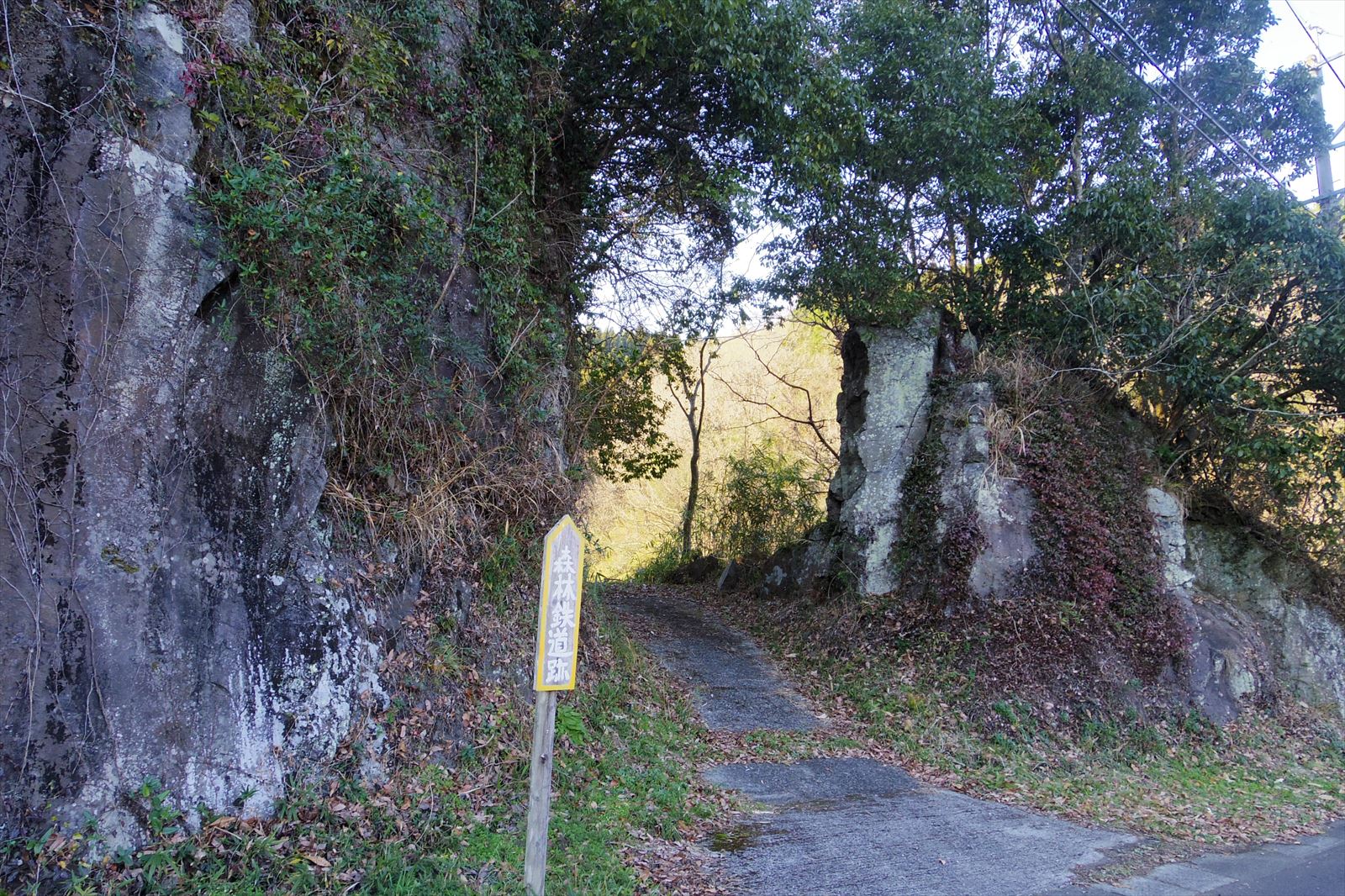 とある大分人の雑記帖「森林鉄道跡」　－清川町コメント                        のん