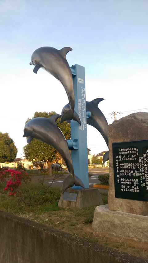 IMAG2542