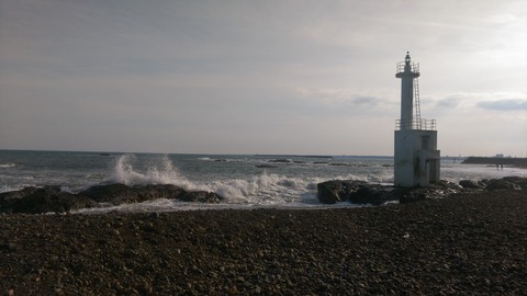 IMAG2528