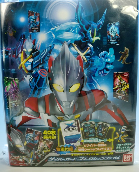 CIMG5965