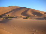 desert2