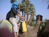 on the camel