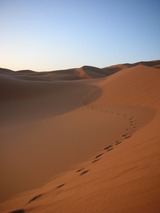 desert