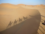 shadow