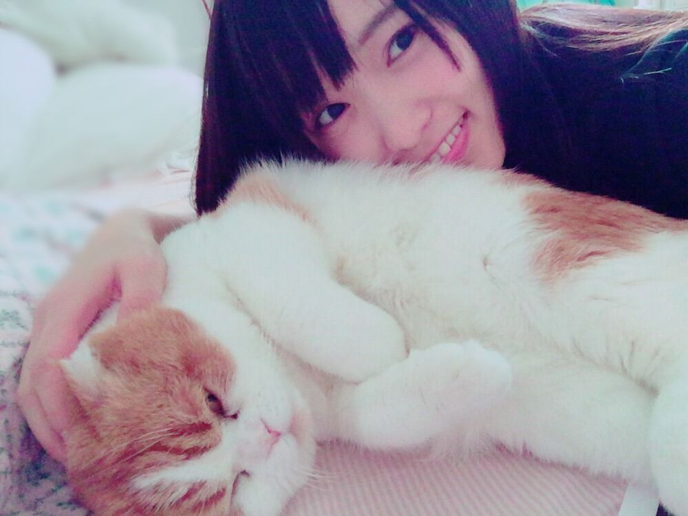 欅坂46 菅井友香の飼い猫 Tom様がやっぱり可愛すぎる べりさまとめ 欅坂46 菅井友香の飼い猫 Tom様がやっぱり可愛すぎる べりさまとめ