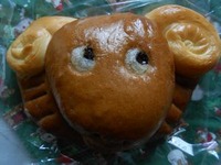 DSCN2579