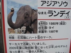 CIMG1699
