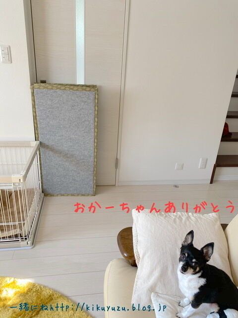 5BD9D6BF-CFCA-48C7-9EBD-43CC7C585499