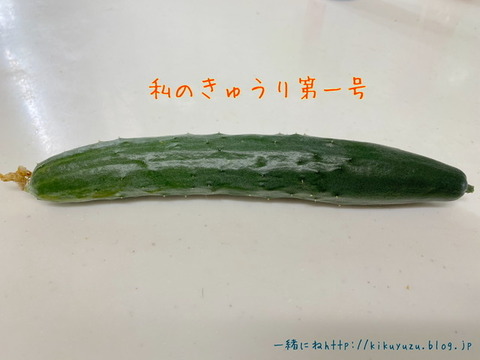 AAC755A7-B1D0-474D-B2E6-A9101B3540ED