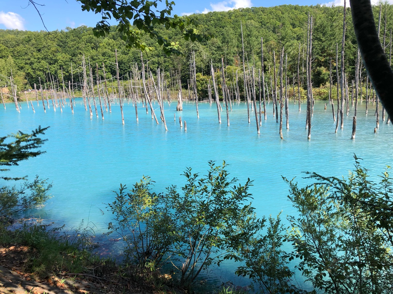 非現実的な青と 現実に見ていたはずの青 まいけるの見たもの日記 Alles Was Gut Tut