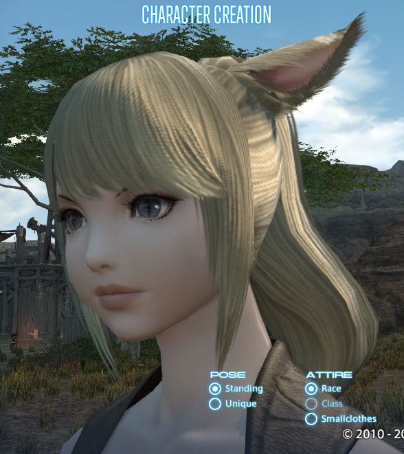 3 0で念願のポニテきた Ff14日記 よろしくメカキャット