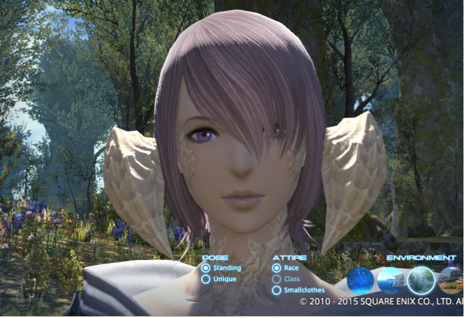3 0目前 アウラ キャラクリ集その Ff14日記 よろしくメカキャット 3 0目前 アウラ キャラクリ集その Ff14日記 よろしくメカキャット
