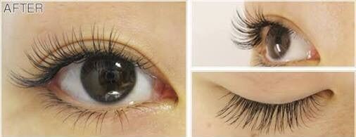 マツエクのお知らせ ふじみ野 市沢 Greengrace グリーングラス 田中 Satoshi Tanakaの 美容師 Life