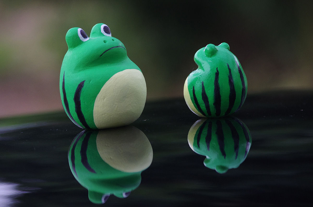 すいかもようのカエルちゃん 山森 浪漫