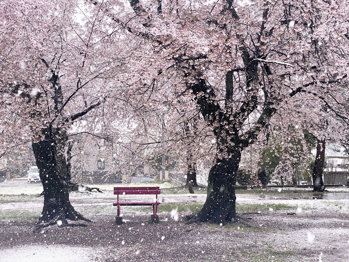 花散らしの雪 山森 浪漫