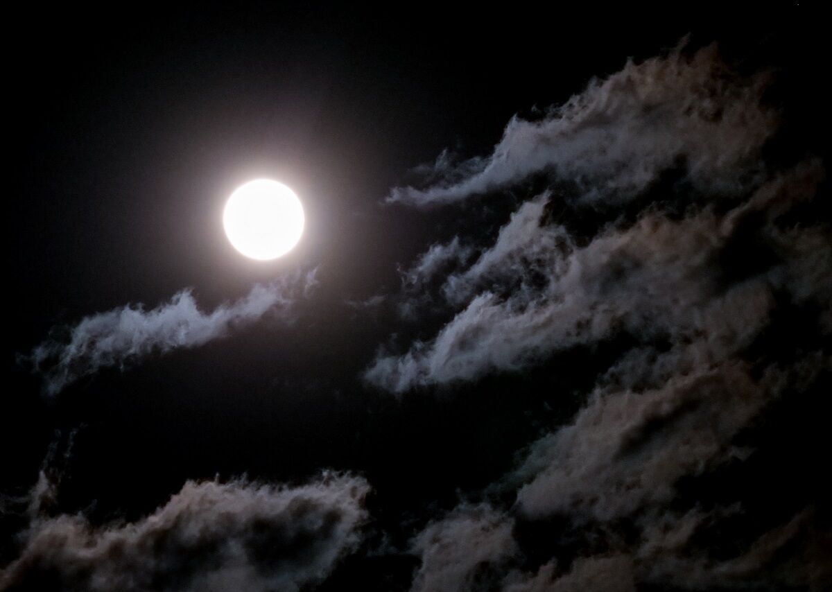 フラワームーン 山森 浪漫