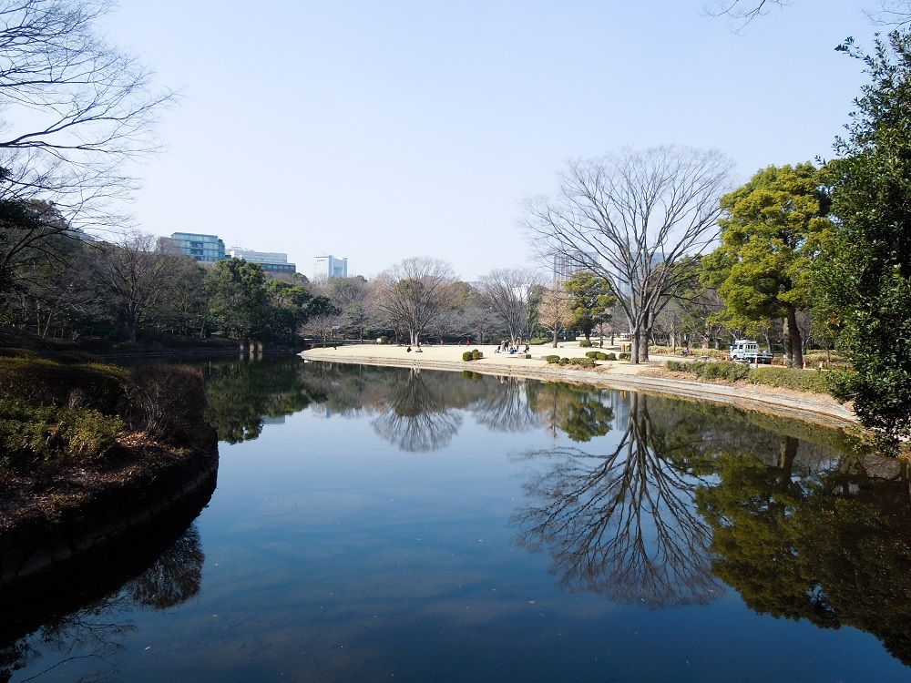 北の丸公園のカラスの行水 山森 浪漫