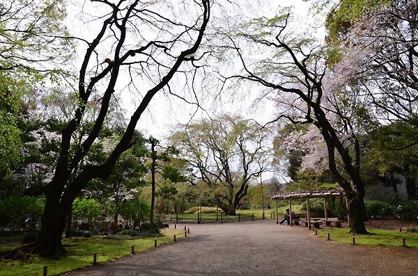 旧古河庭園と六義園 とげ抜き地蔵 そして 飛行船 山森 浪漫 旧古河庭園と六義園 とげ抜き地蔵 そして 飛行船 山森 浪漫