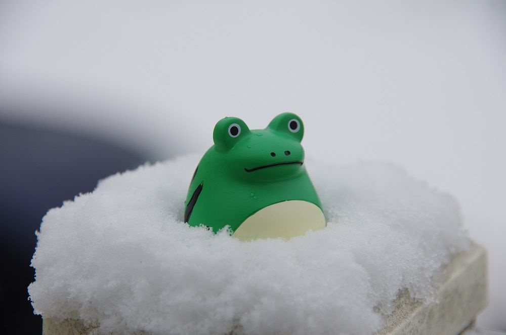 雪のなかの だるまスイカがえる と残された足跡 山森 浪漫 雪のなかの だるまスイカがえる と残された足跡 山森 浪漫