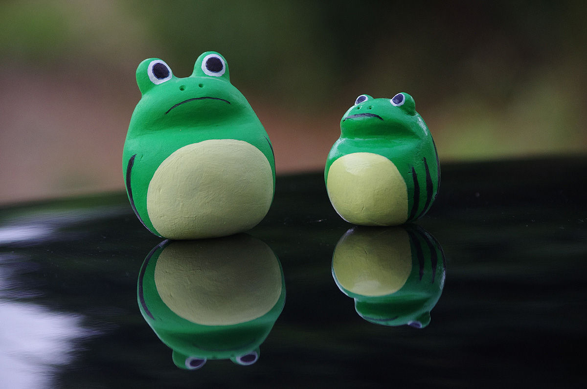 すいかもようのカエルちゃん : ［山森☆浪漫］