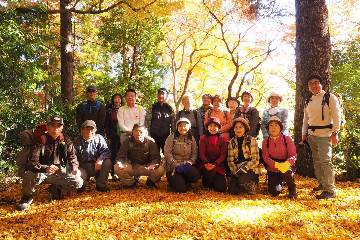 紅葉の天覧山 多峯主山からほほえみの丘へ 山森 浪漫