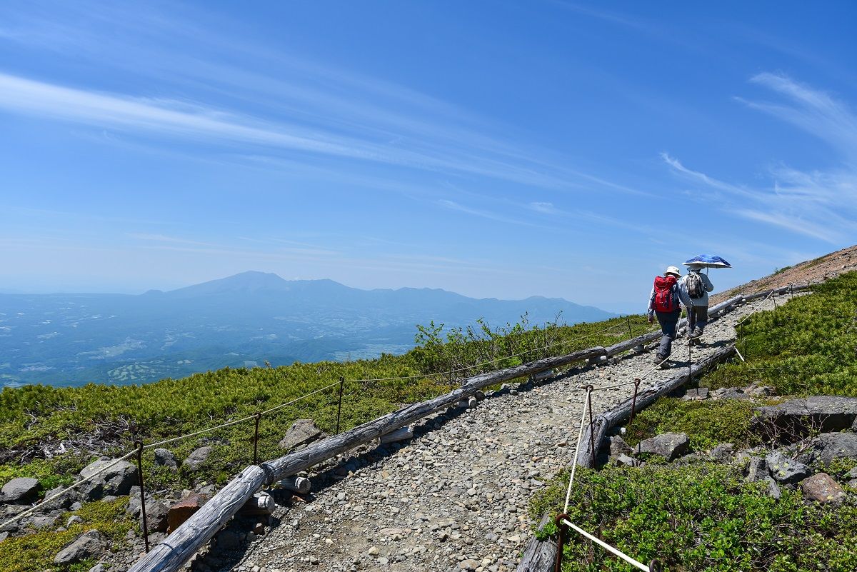 コマクサ咲く本白根山へ 山森 浪漫 コマクサ咲く本白根山へ 山森 浪漫