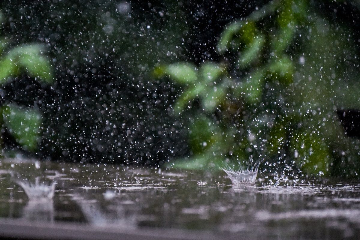 雨粒王冠から水爆弾 山森 浪漫