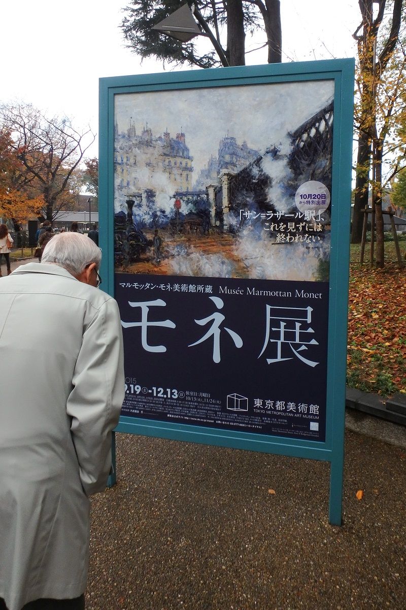 自然観察 山森 浪漫