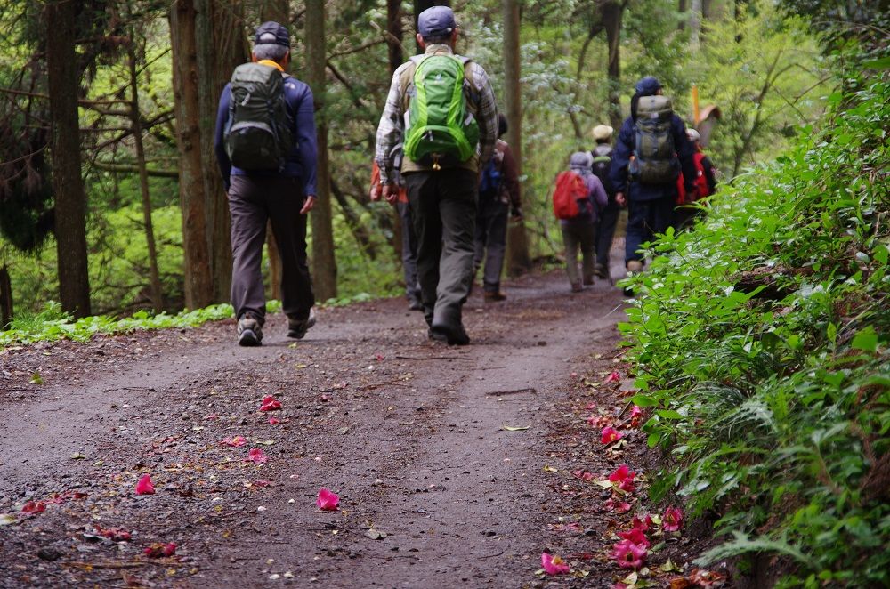 花咲く景信山から高尾山を歩く 千早山歩の会 山森 浪漫