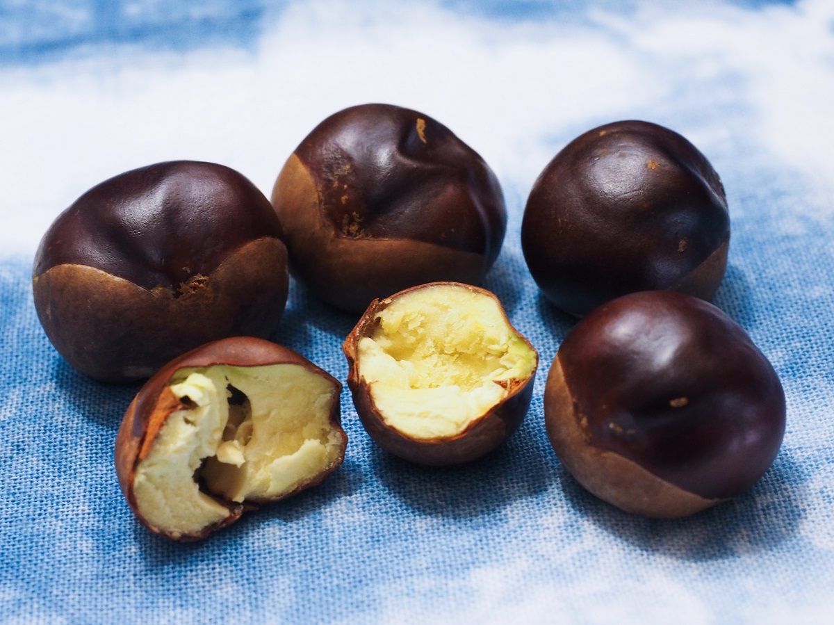 やっぱり苦かった 山森 浪漫