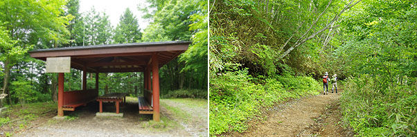 東屋と道