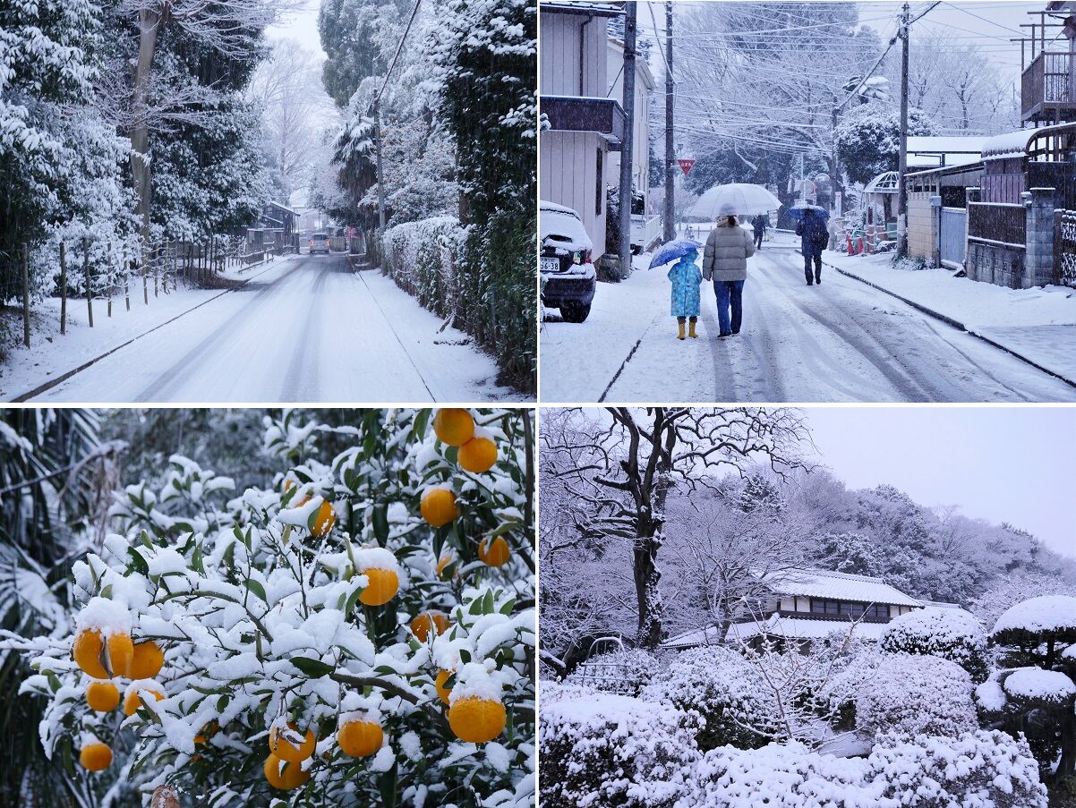 [山森★浪漫] : 初雪で初詣