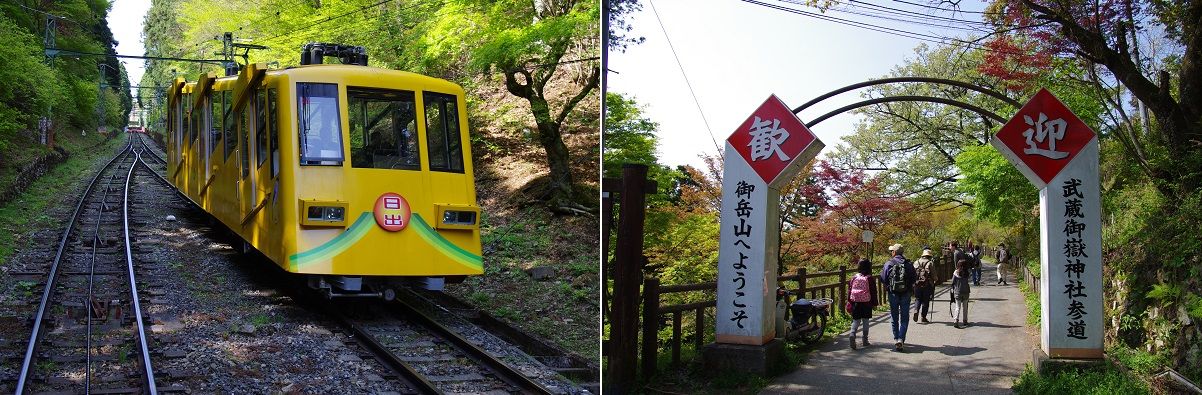 ［山森★浪漫］	  花咲く御岳山から日の出山へ	コメントトラックバック                mira47