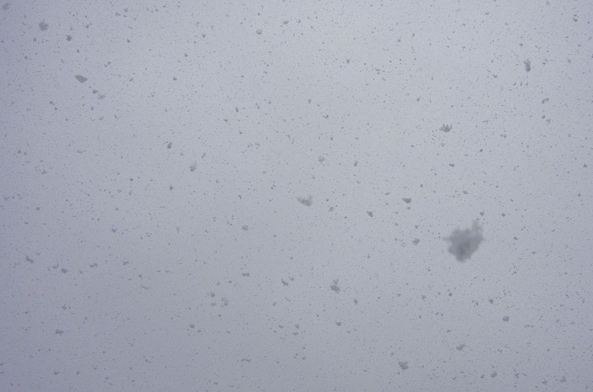見事な牡丹雪です 山森 浪漫