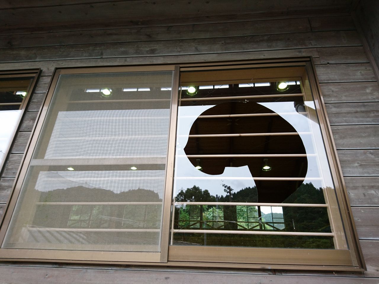 窓ガラス修理 きくちの かまや