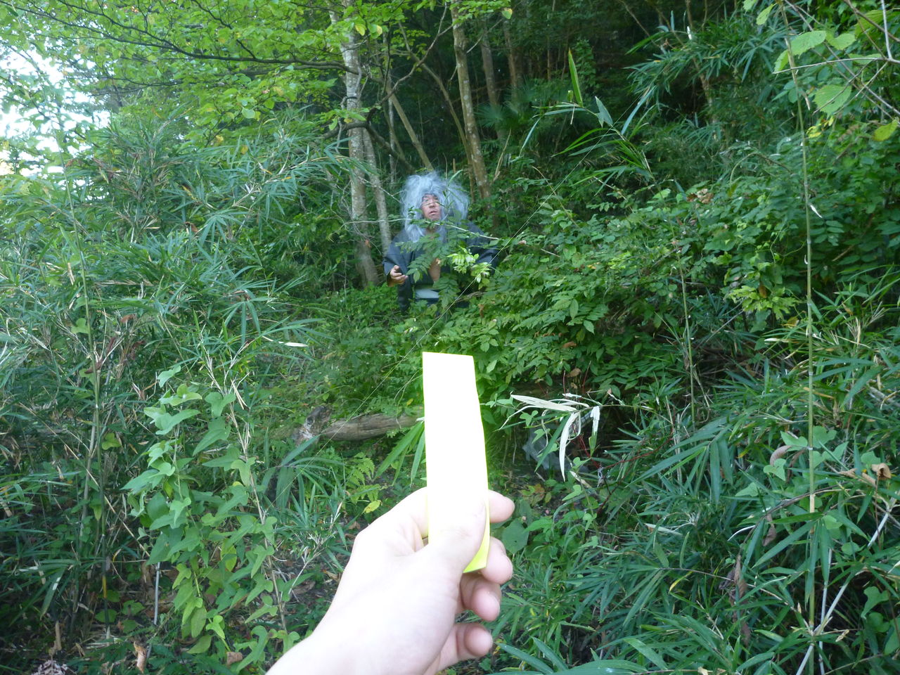 今日のやまんば 第一回 ミラクルパッションズの公式ブログ 沖へ流されちまいな 今日のやまんば 第一回 ミラクルパッションズの公式ブログ 沖へ流されちまいな