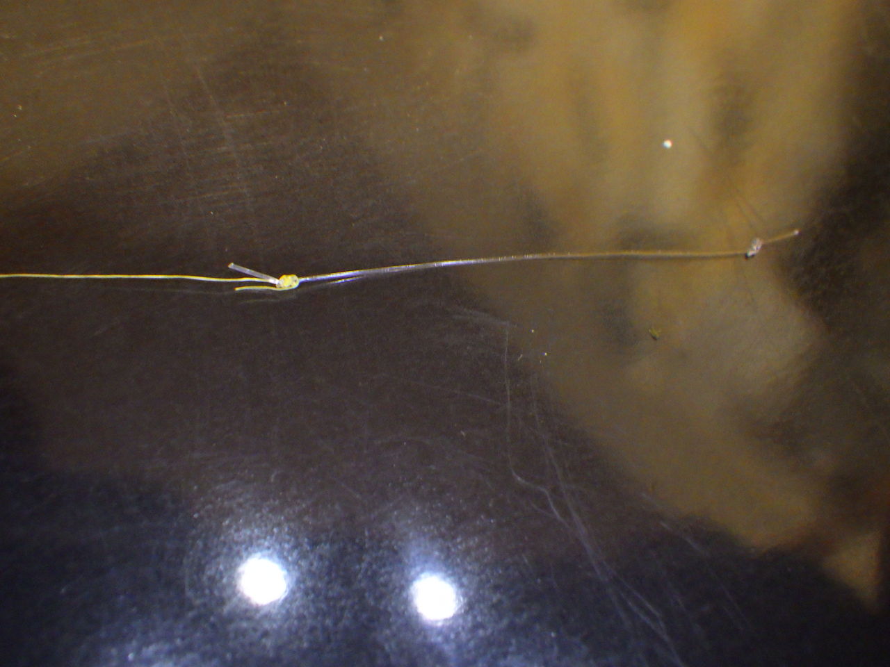 アーマード水中糸 馬鹿の知恵は後から