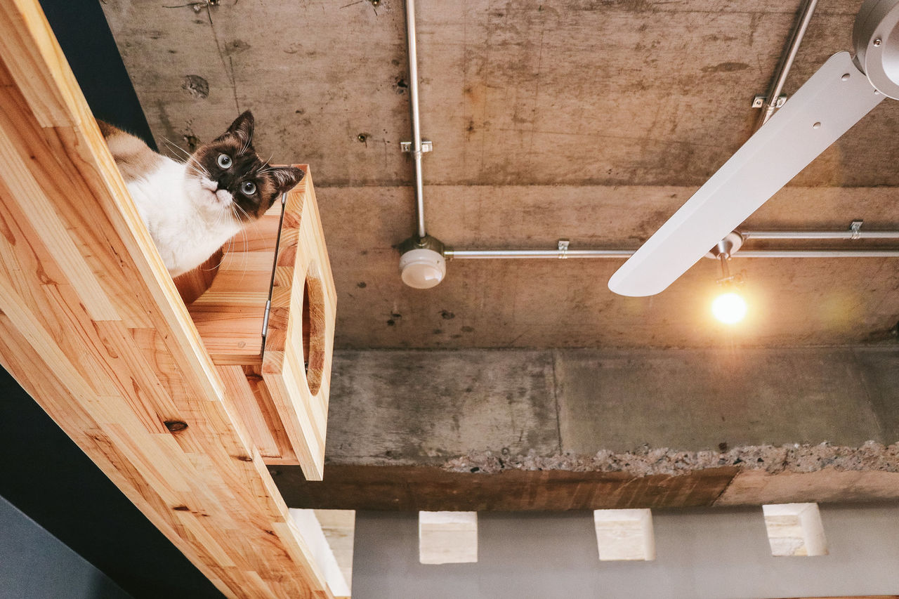 マンガ Fランク Part 23 黄金色のオタク生活