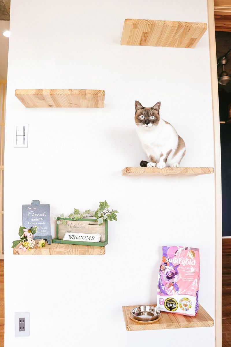 マンガ Fランク Part 23 黄金色のオタク生活