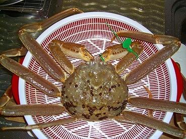 大阪グルメ 蟹