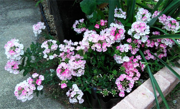 20190518_09