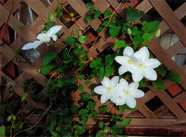 20190522_07