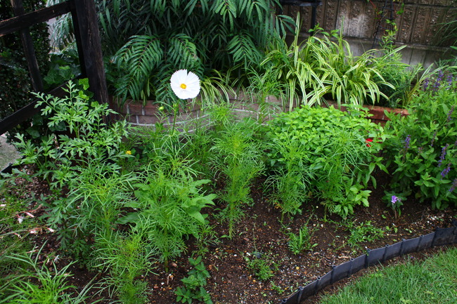 2020_06_2207_05_059
