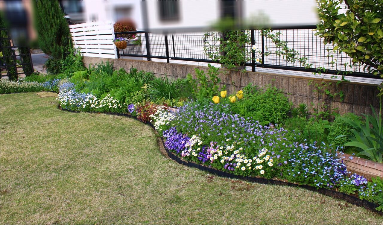 西向き花壇二回り目 Miraiの庭 つれづれに