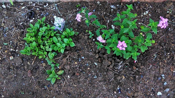 20190530_06