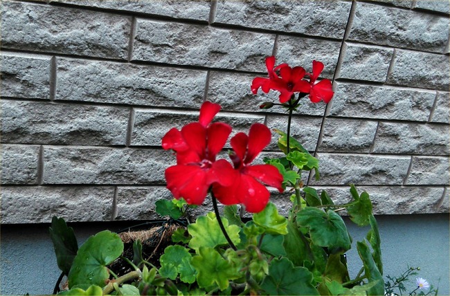 P_20190820_111359