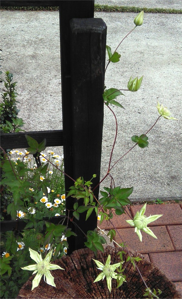 20190522_08