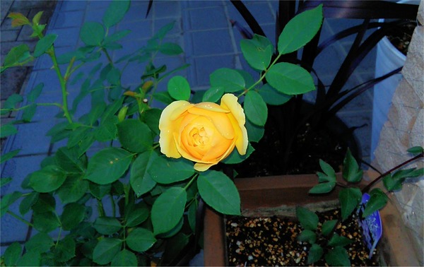 20190530_07