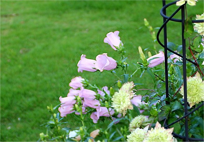 2020_06_0805_13_089